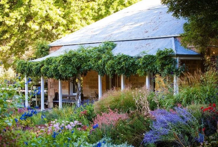 Как украсить палисадник: лучшие растения для летнего цветения