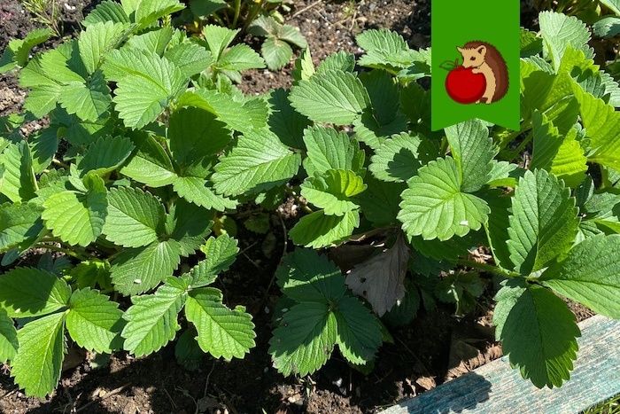 ����� �������� ��������� � ��������: ��� �������� ���� ��� ��������� ������